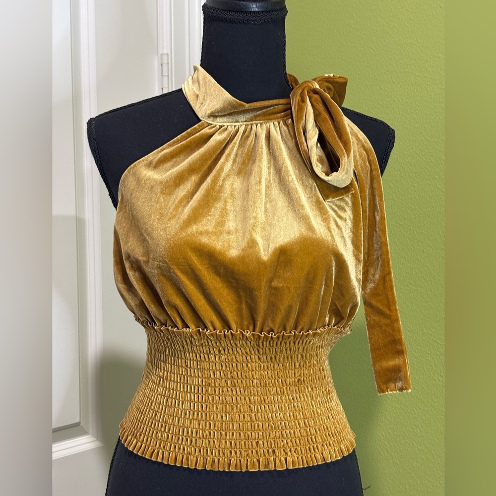 Mi Ami Francesca’s Gold Velvet Halter Top Size Medium New